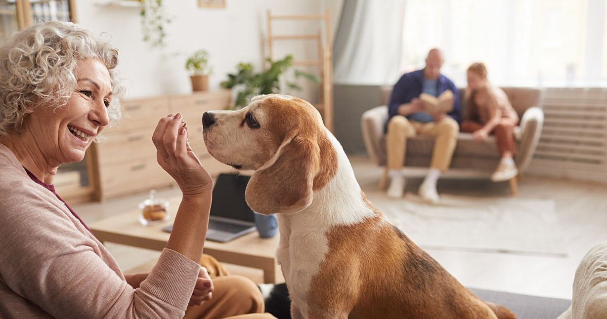 Agevillage tweet media