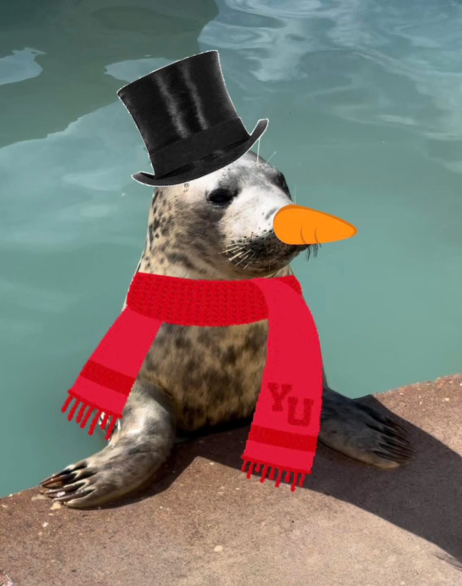 🎄 Merry Christmas everyone! 🎅🏻 

Wishing everyone a very Merry Christmas from the Natureland Team and all the Animals too! 
🦭🎁🐧🎄🐰🎅🏻🐐