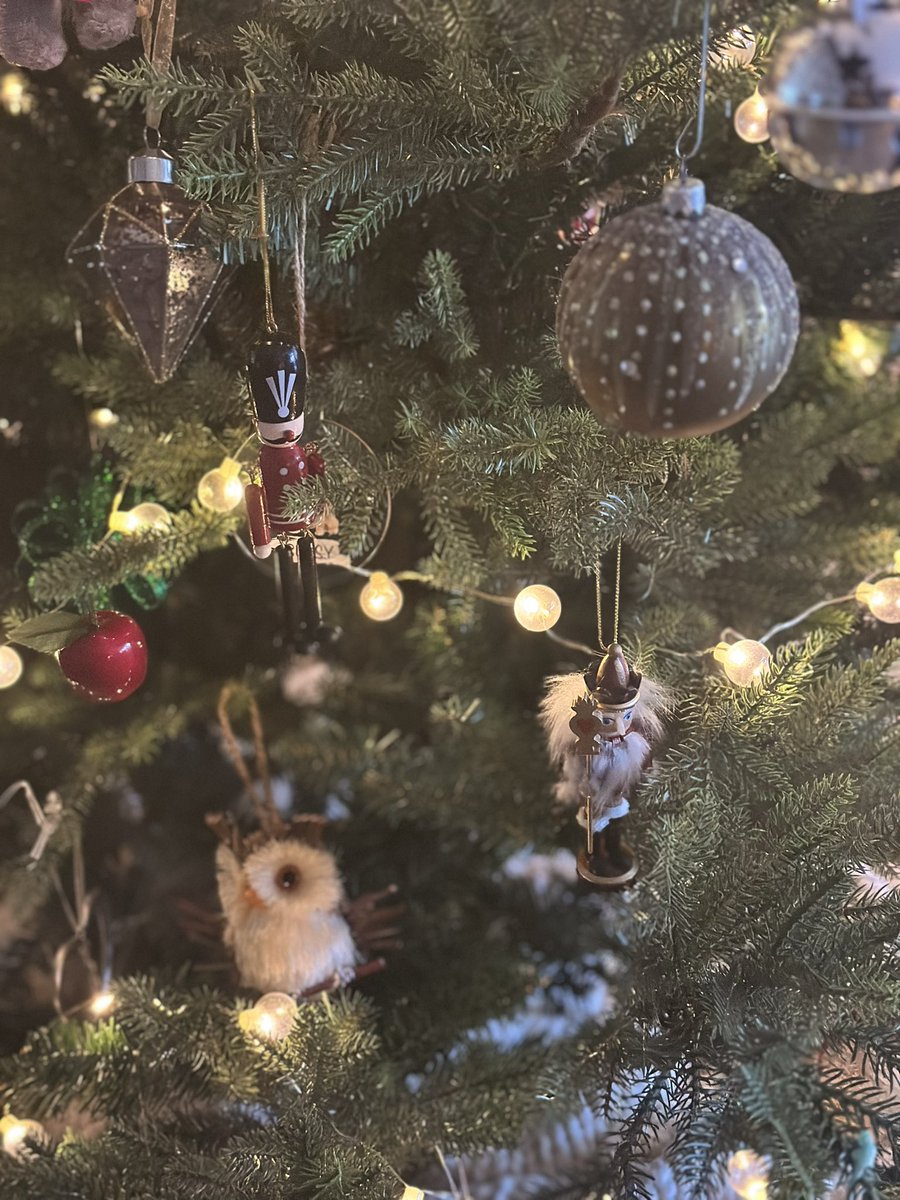 KarenDavid tweet media