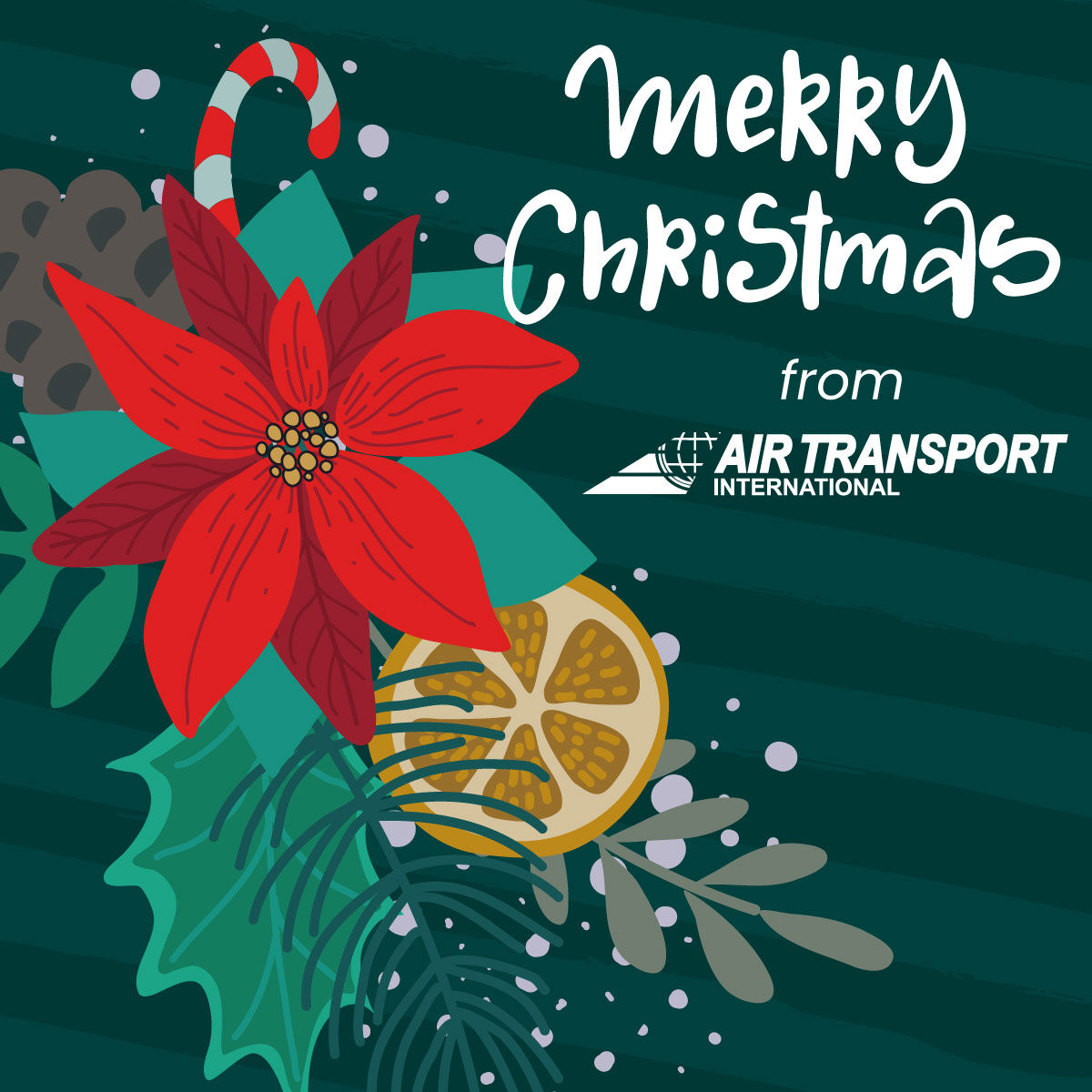 🌟 To our employees and partners, thank you for being part of our success. Merry Christmas! 🎁
 
#christmas #merrychristmas