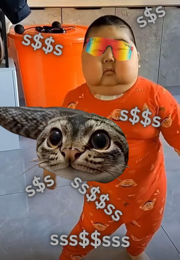 cryptocat tweet media