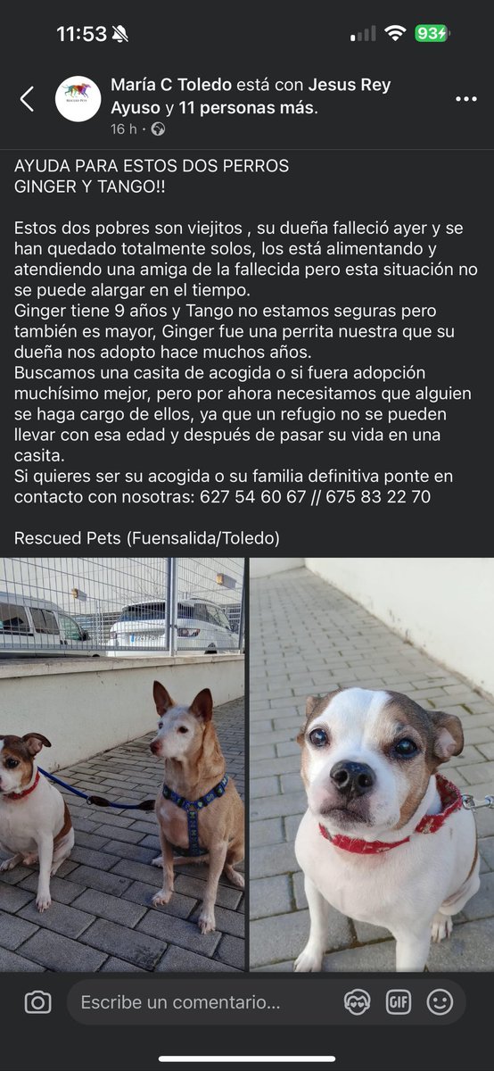 yaizaof94's tweet image. LO HE VISTO EN FACEBOOK Y ME HA ROTO EL CORAZÓN, LES AYUDAMOS?? 😢💔
📍TOLEDO
📞 627546067/ 675832270