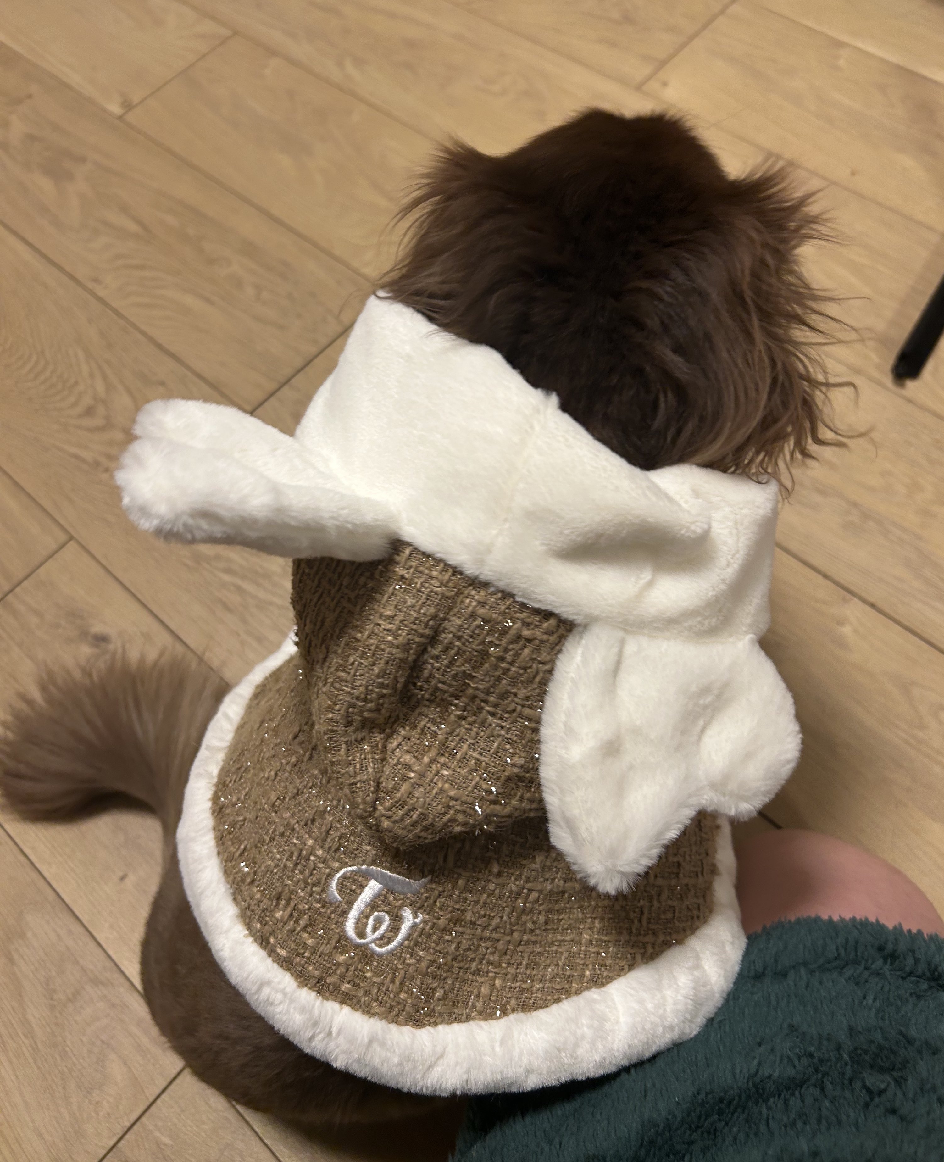 みほ様☆犬服☆ハンドメイドオーダー☆3着✩.*˚ みほ様専用☆犬服 ハンドメイド 犬服 ハンドメイド みほ様オーダー品