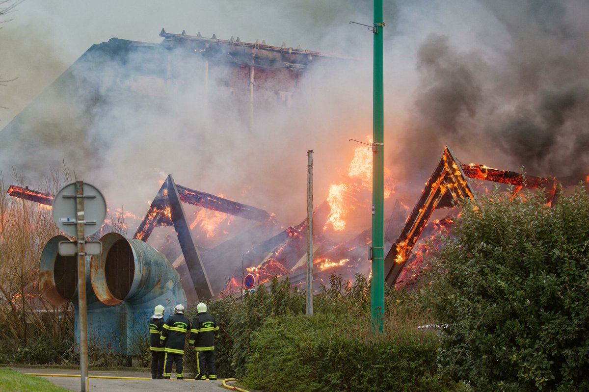 « Conserver un héritage » : un an après l’incendie de Sportica, Gravelines renaît doucement de ses cendres
➡️ l.leparisien.fr/JT9u