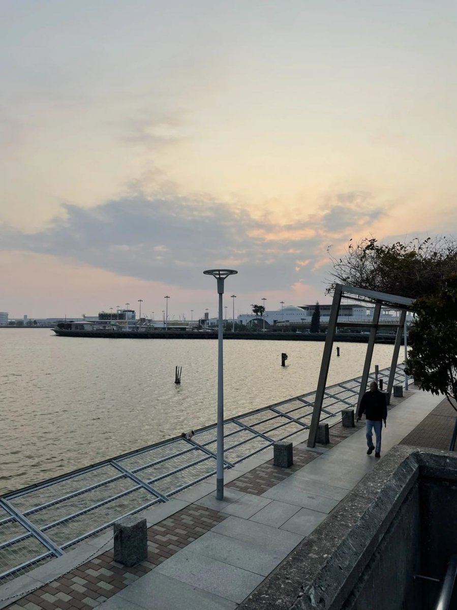 Celia🧸🖤 tweet media