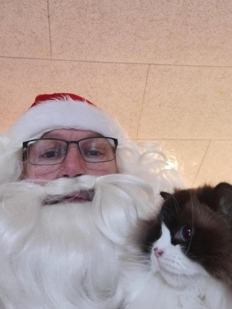 My dad is taking care of my kitties at home. He sent this to update on them doing good.