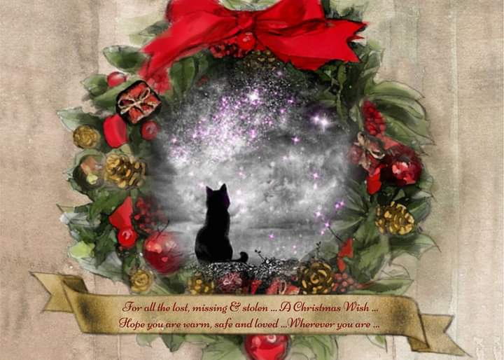 CatsMissing's tweet photo. 🎄 For all the lost missing & stolen kitties
🌟 💫A #ChristmasWish 💫🌟
Hope you are warm safe & loved 💖
Wherever you are ...
#RememberMe
#ScanMe
#CheckThatChip
#GetMeHomeForChristmas 💞🎄🌟🐾🏡🐾🌟🎄💞
And for their families ... #NeverEverGiveUp https://t.co/WCMJ5MYFoJ