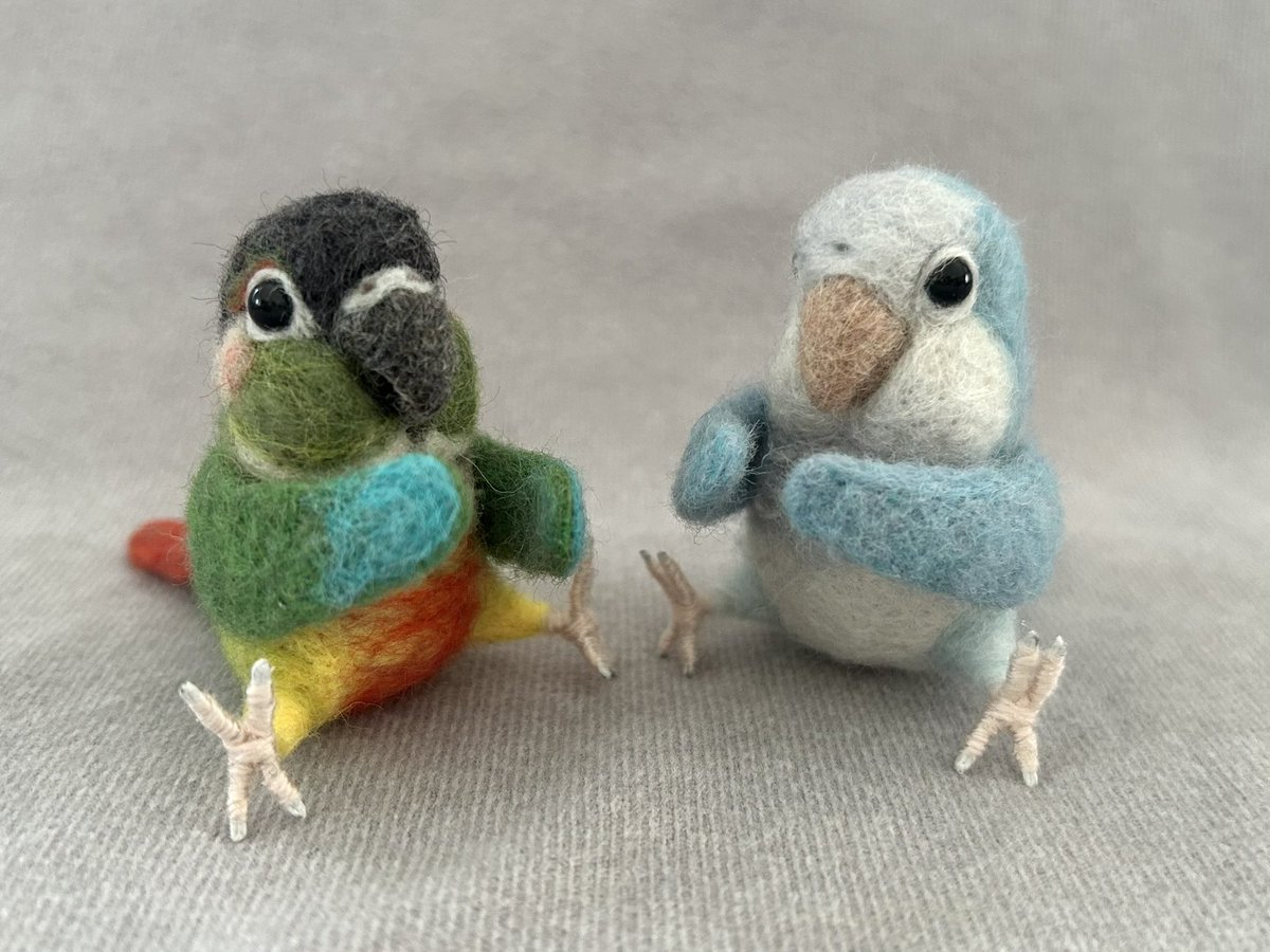 kodamambo_yu's tweet photo. おすわりちゃんのウロコとオキナ。
#鳥フェス浅草
#鳥フェス浅草2025
2025年1/18(土),19(日)
東京都立産業貿易センター
台東館6階・7階
#tinybooboo #needlefelting #needlecraft #woolwork #woolcraft #羊毛フェルト #羊毛フェルトインコ #インコグッズ https://t.co/2qIsivGbC1