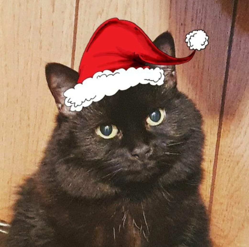 bazziboo's tweet photo. Wishing you a Christmas filled with laughter, love, and cherished memories 🎄🎅🏻
If the only thing you do today is get through it, that's ok as well 💜 https://t.co/CPRFoZsLRp