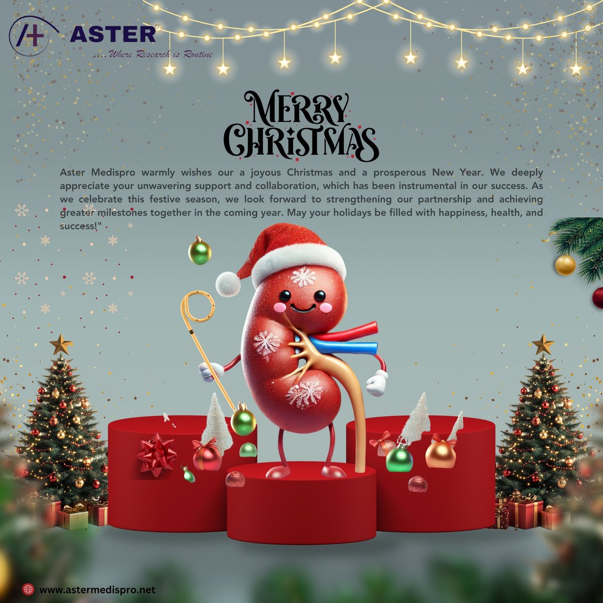Aster Medispro warmly wishes a joyous Christmas and a prosperous Newyear. #urology #MerryChristmas