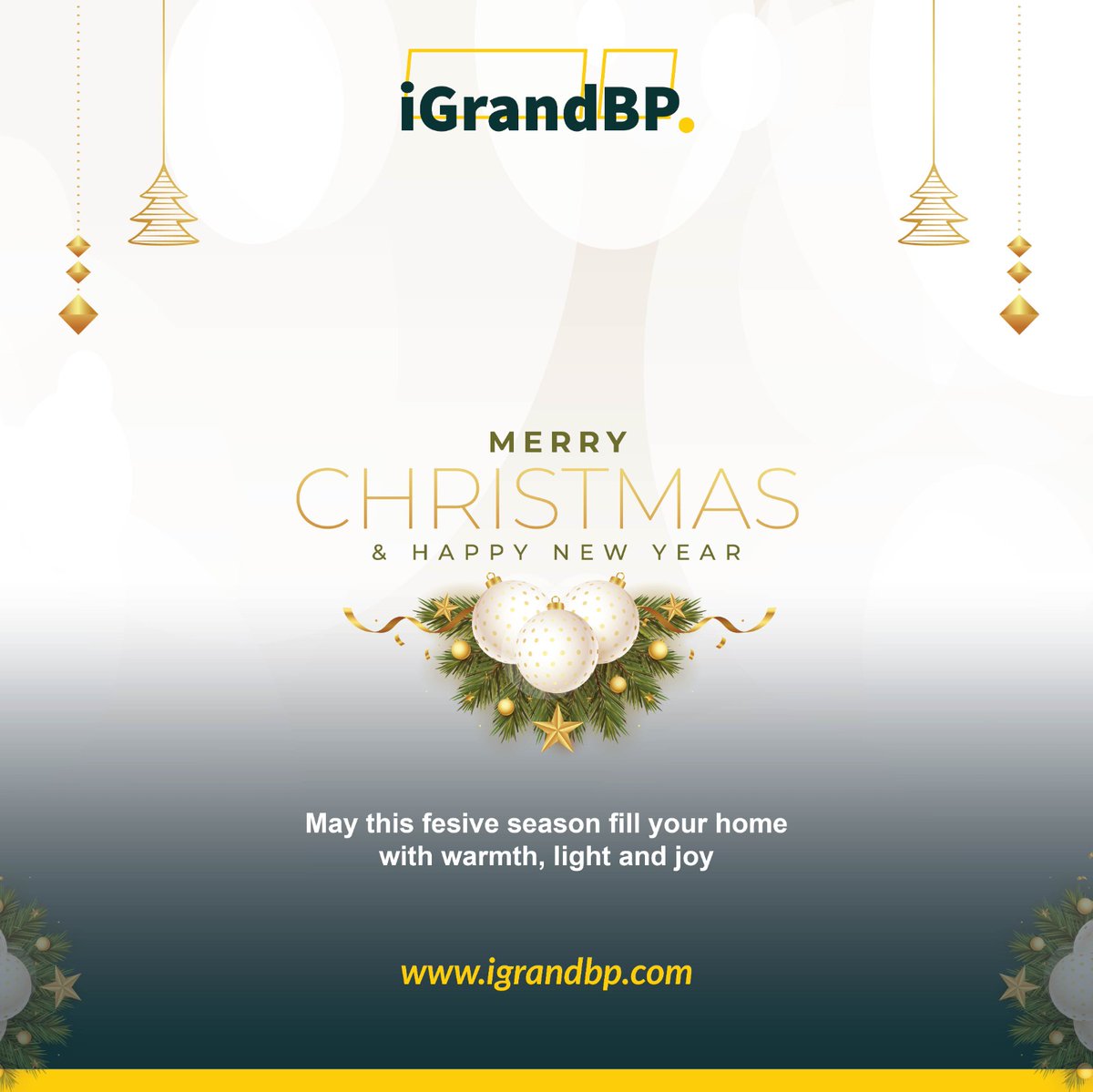 Merry Christmas and a Happy New Year!