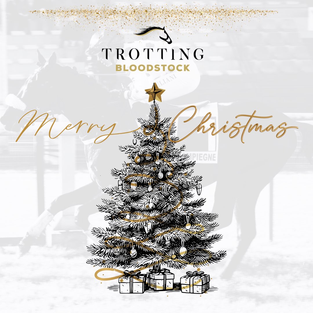 🎄 𝐍𝐨𝐮𝐬 𝐯𝐨𝐮𝐬 𝐬𝐨𝐮𝐡𝐚𝐢𝐭𝐨𝐧𝐬 𝐮𝐧 𝐉𝐨𝐲𝐞𝐮𝐱 𝐍𝐨𝐞̈𝐥 𝐞𝐭 𝐝’𝐞𝐱𝐜𝐞𝐥𝐥𝐞𝐧𝐭𝐞𝐬 𝐟𝐞̂𝐭𝐞𝐬 𝐝𝐞 𝐟𝐢𝐧 𝐝’𝐚𝐧𝐧𝐞́𝐞 ! 🎄