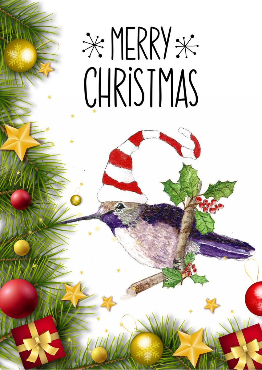 HummingbirdCSG's tweet image. 🎄 Wishing You a Joyful Christmas 🎄 
As we celebrate the festive season, we are reminded of the importance of togetherness. From all of us at Hummingbird Cancer Support Group, we wish you a peaceful and joyful Christmas filled with warmth and love. 

#MerryChristmas #NewYear2025