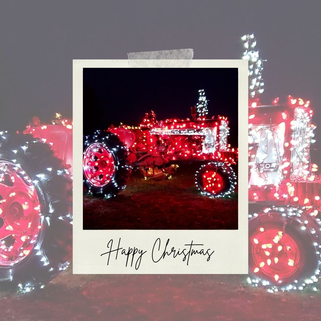 RHIZA Digital tweet media