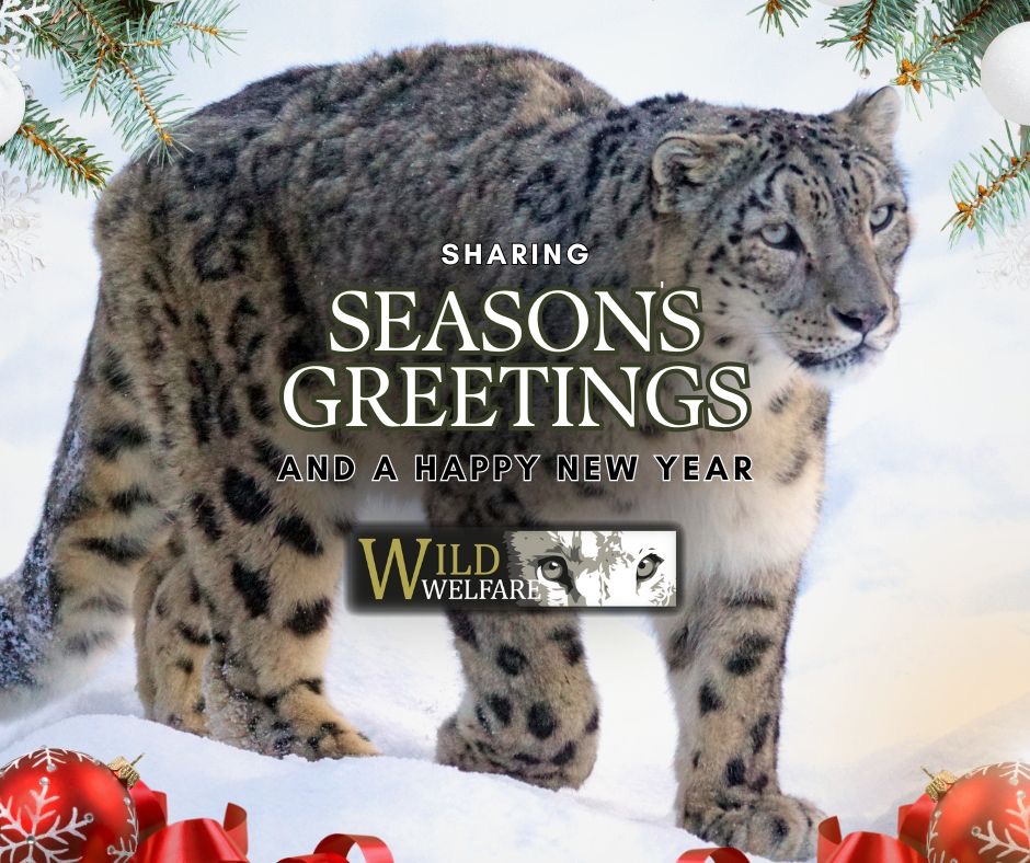As we reflect on 2024, we're filled with gratitude for a year filled with significant achievements. None of which would have been possible without your generous support. Thank you!🎄

Wishing you and your loved ones a joyous festive season and a prosperous New Year! 🎁