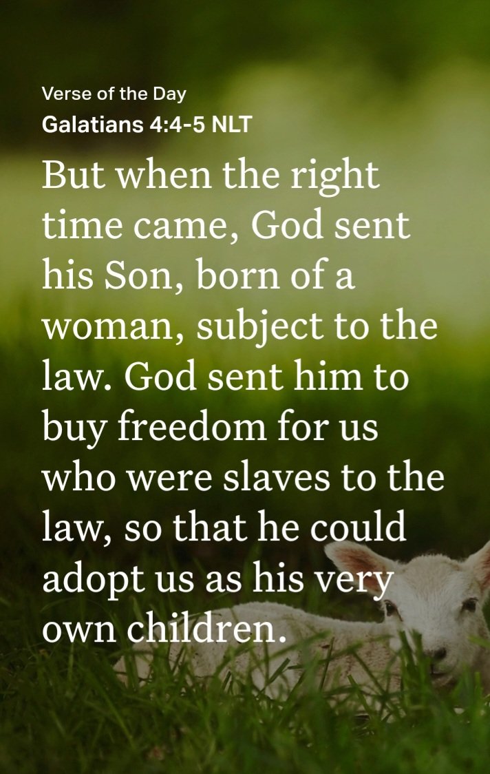 August Rush (@flam161) on Twitter photo 