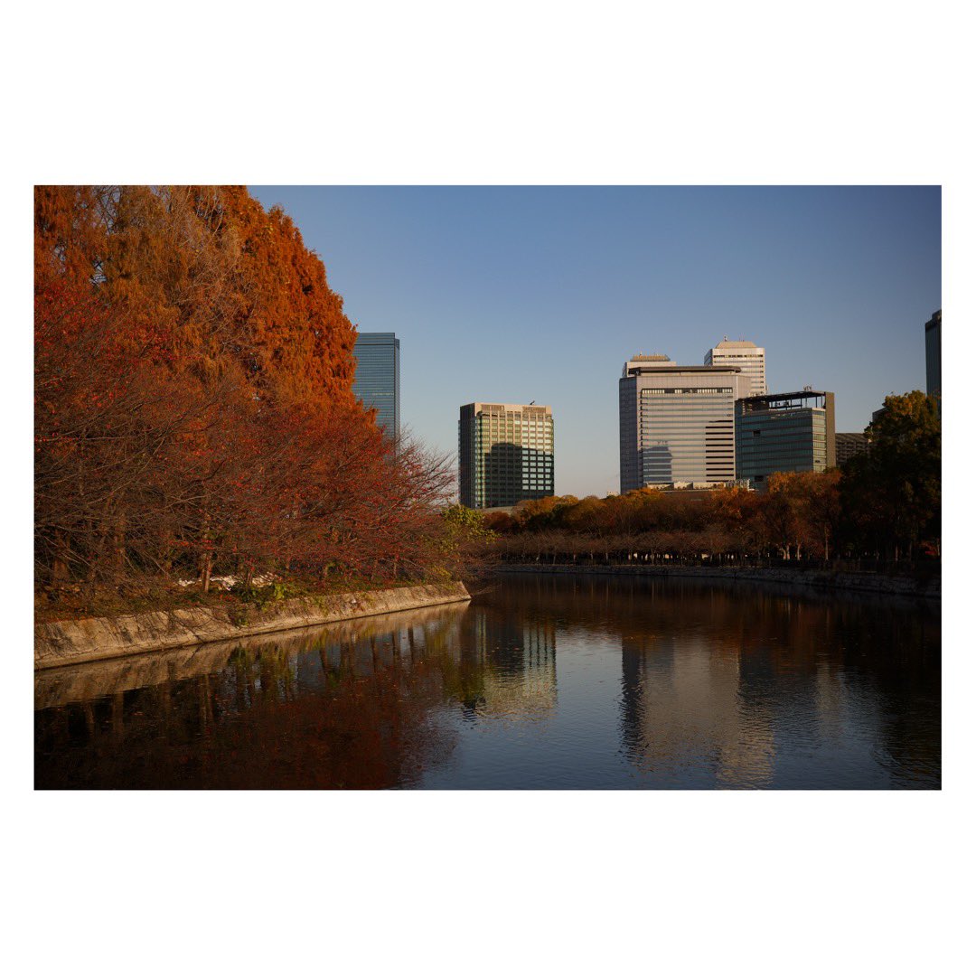 シャル tweet media