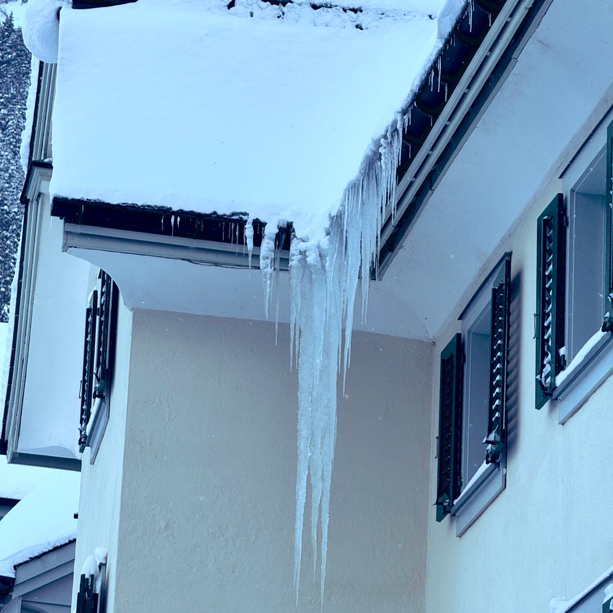 Kamikatze tweet media