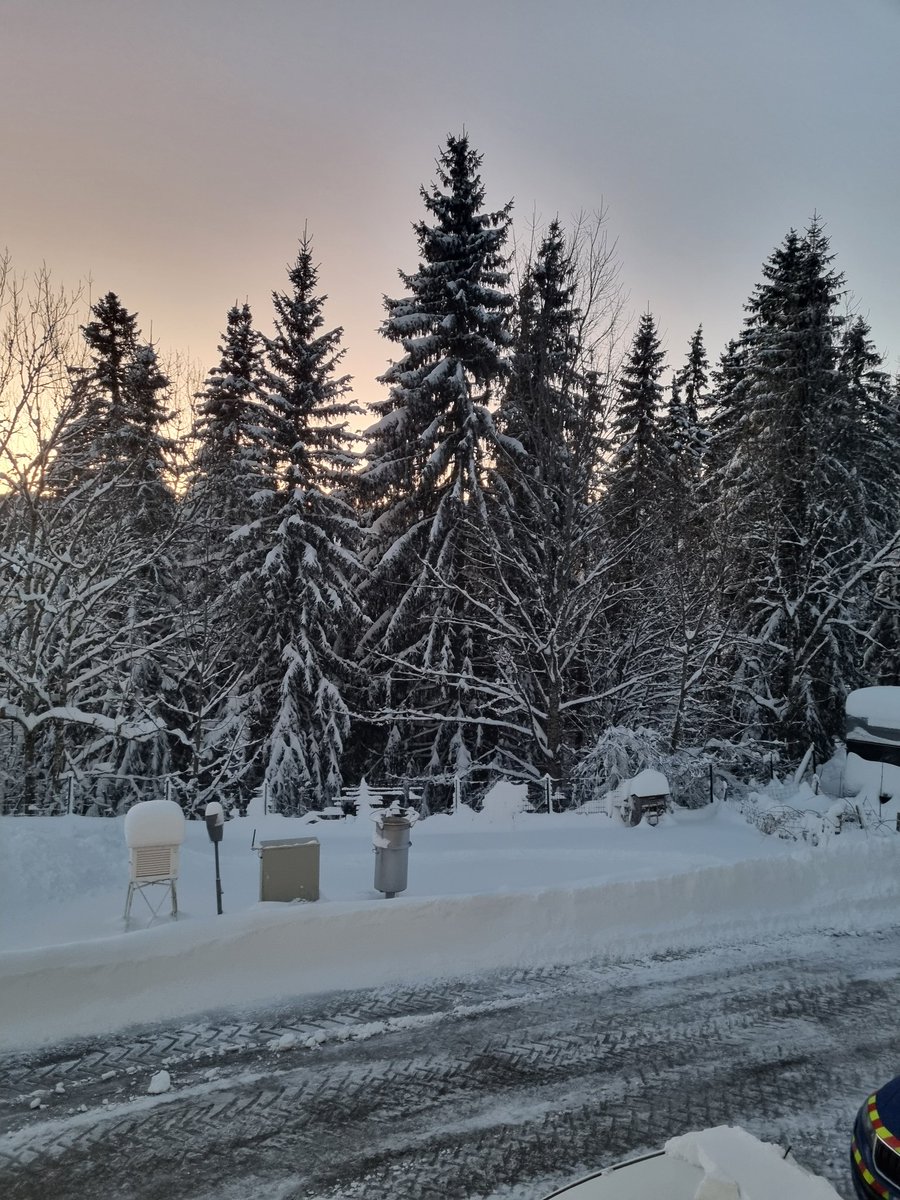 DupratC's tweet photo. Le petit-déjeuner à la #montagne c'est toujours devant une vue magnifique 
Joyeux 🎅 🎄 🤶 🎄 🎅 à tous 
#jura #madeinjura #trail #montagne #forêt #randonnée #nature #StationDesRousses #skialpin #skidefond #skiderandonnée #raquette #environnement #juratourisme #jaimemonjura https://t.co/CK5KPtzKYv