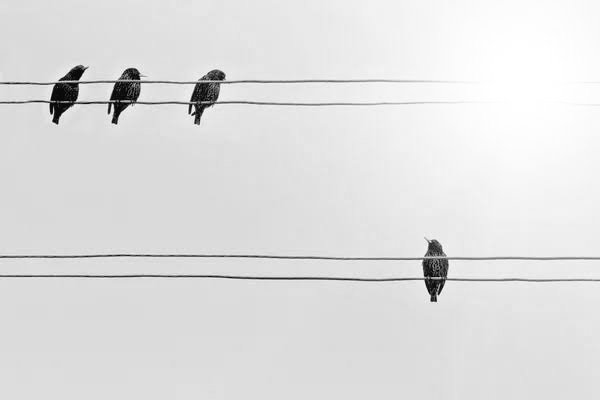 "Kırgınlıkların dili yok."