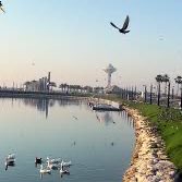 #صباح_الاجواء_الحلوه

نحمد الله ع التمام وعلى الصباح 
ونطلبه ستره وكل العافيه 💕

#خيآل