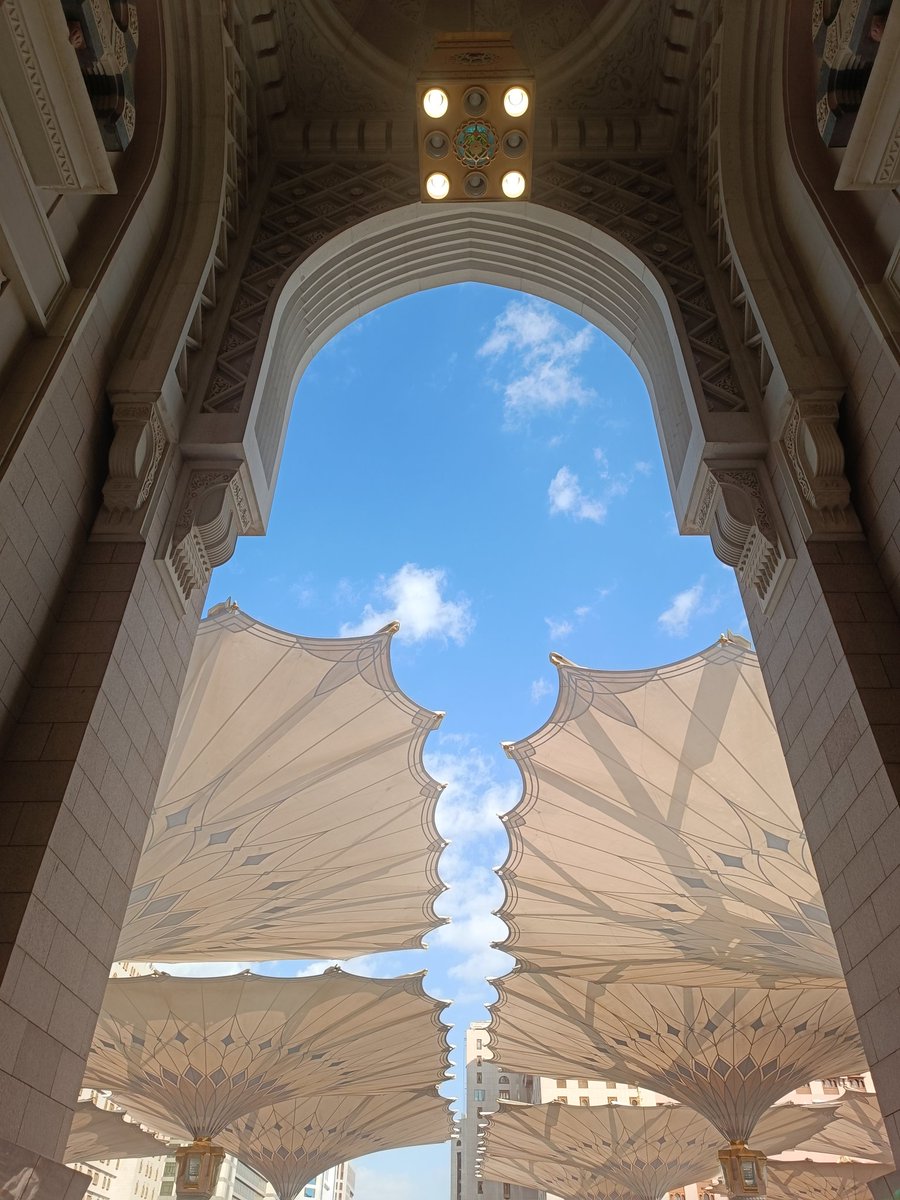 حذيفة tweet media