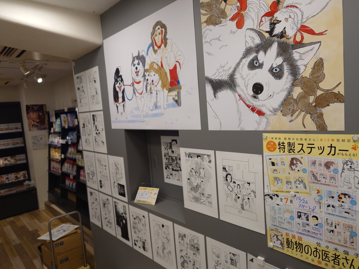 新装版 動物のお医者さん 1-12巻 全巻セット 佐々木倫子 小学館 佐々木