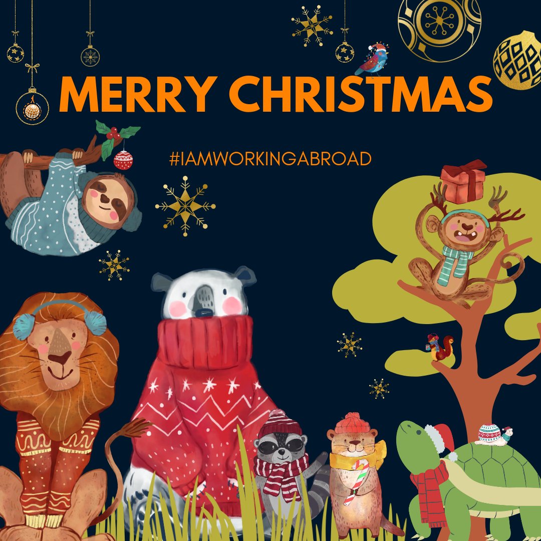We just want to wish all of you that celebrate, a very Merry Christmas! 🎄🎄 

Thank you to all of you who have volunteered with us over the past year! 

#iamworkingabroad
