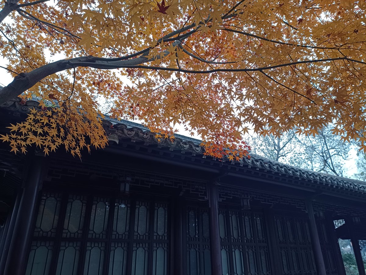 lyzhang10's tweet photo. https://t.co/VL4uyoyWVt