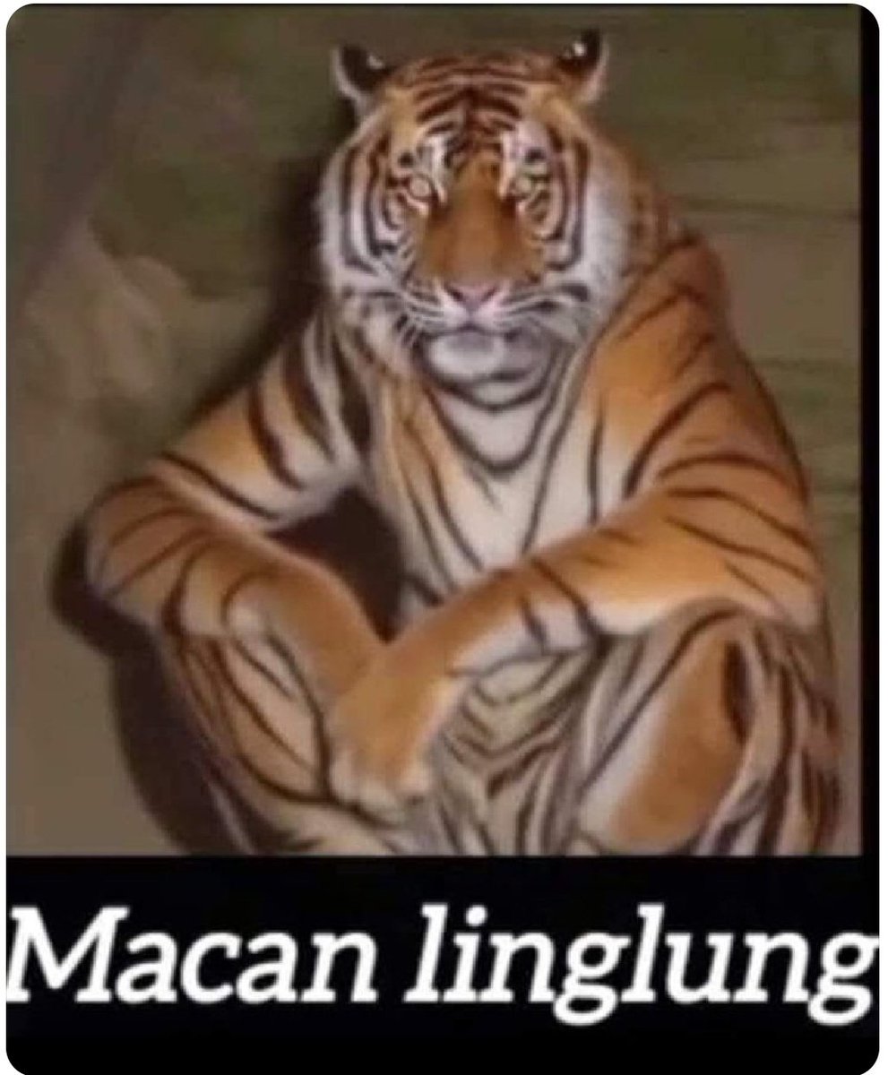 fairusmann's tweet image. Macan