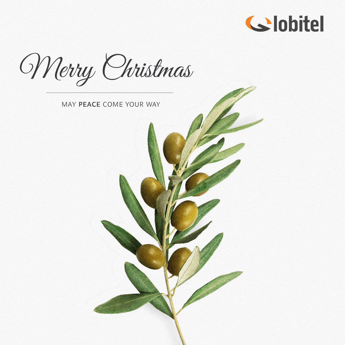 globitel_int's tweet photo. May the spirit of Christmas fill your heart and home with hope and serenity, as we look forward to a prosperous and peaceful New Year. https://t.co/VsFlajnoc0
