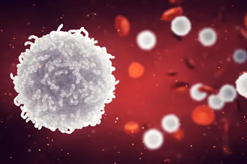 WBCCTO's tweet photo. 💥 White Blood Cells protect the body, $WBC protects your gains! 🚀🌟
#MemeCoin #CryptoImmunity #WBC https://t.co/a3mcP9Q038