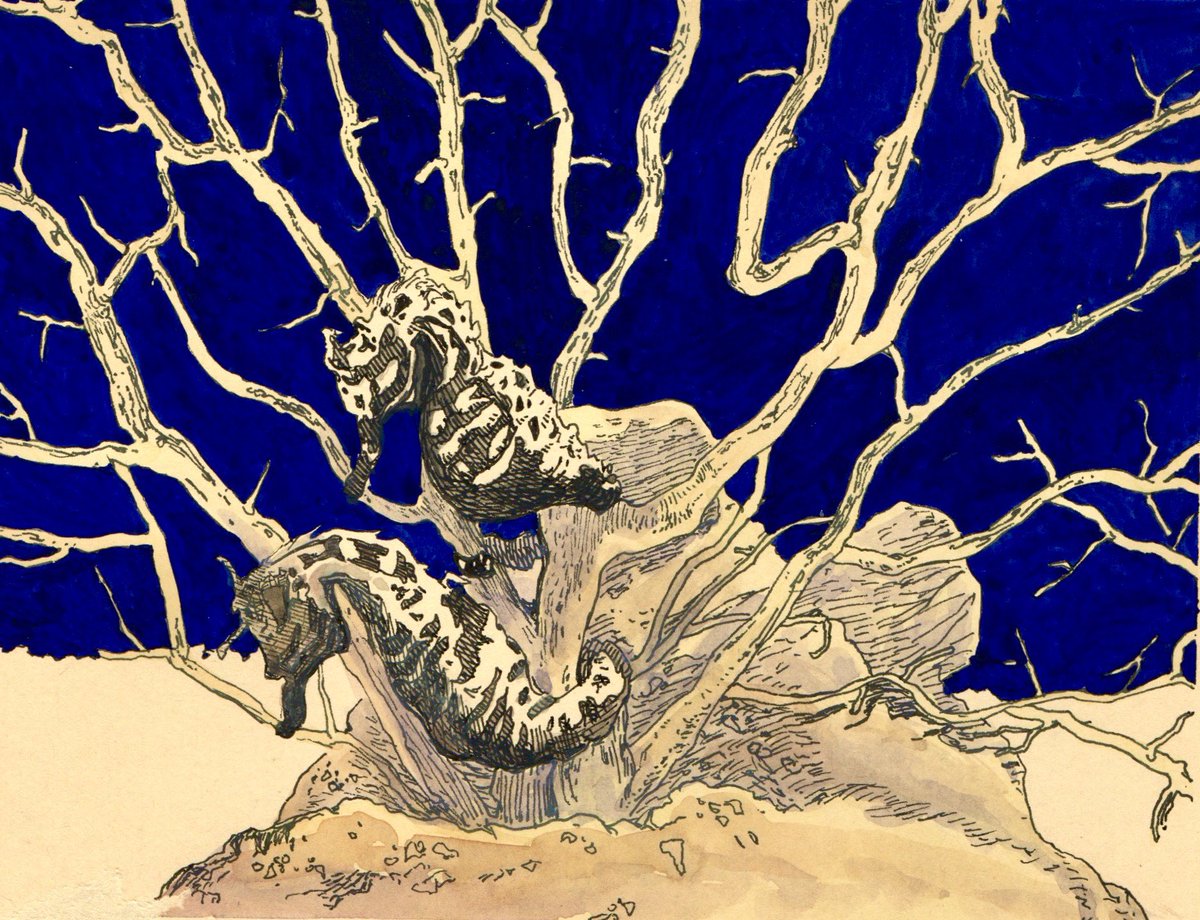 안주희 tweet media