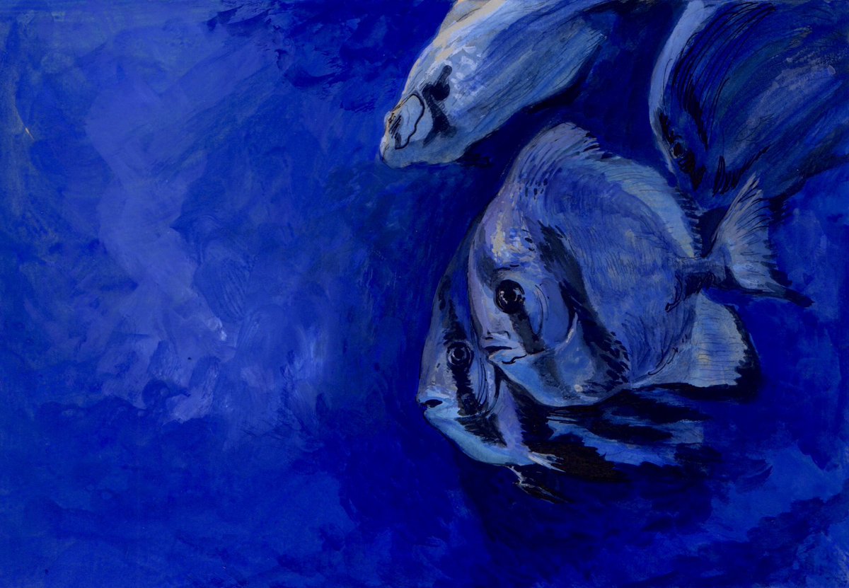 안주희 tweet media