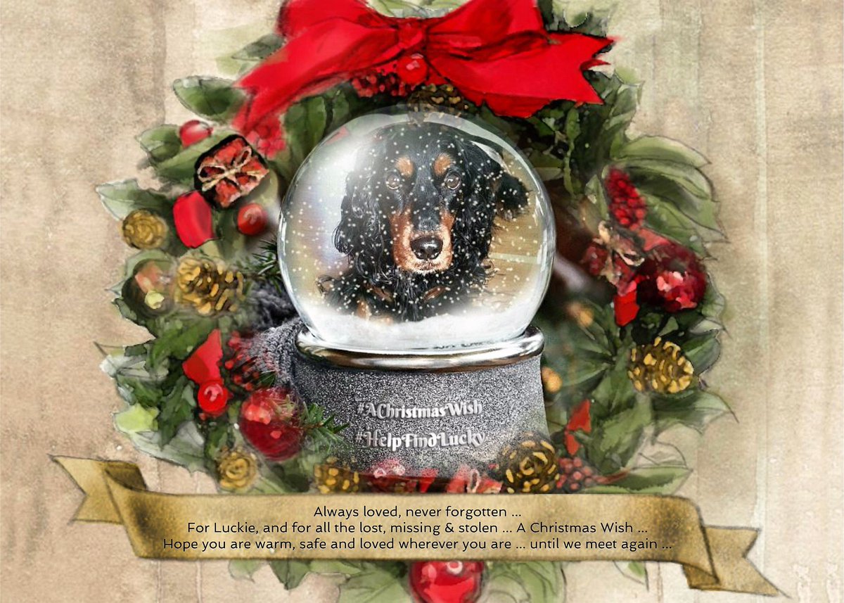 #ChristmasBlessings &amp; a heartfelt "Thank You" for all RT's to #HelpFindLucky💔
Lost from #DFDS ferry 21/12/16
Always loved, never forgotten 💞🐕💞
Sending you a #ChristmasWish
Hope you are warm, safe &amp; loved Luckie, wherever you are
play.smilebox.com/SpreadMoreHapp…
Until we meet again💞