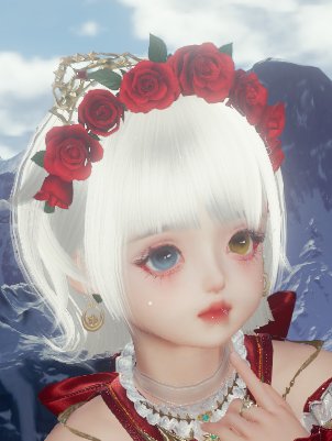 🔔Merry Christmas 圣诞限定小猫🐈