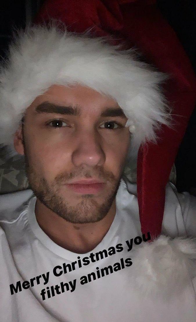 liamuwus's tweet photo. merry christmas you filthy animals 🥺 https://t.co/FWDobhV1jc