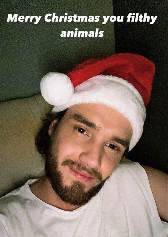 liamuwus's tweet photo. merry christmas you filthy animals 🥺 https://t.co/FWDobhV1jc