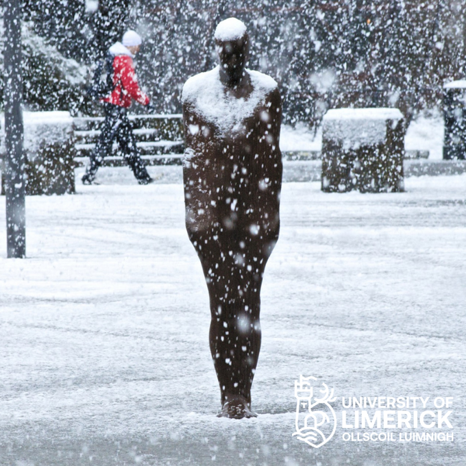 University Of Limerick tweet media