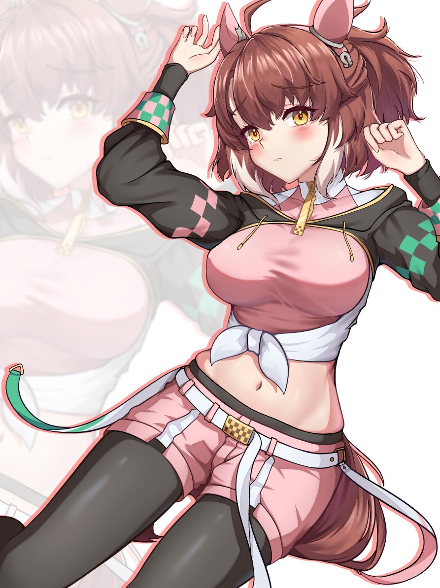 1M5PAPA's tweet image. ダンツフレーム