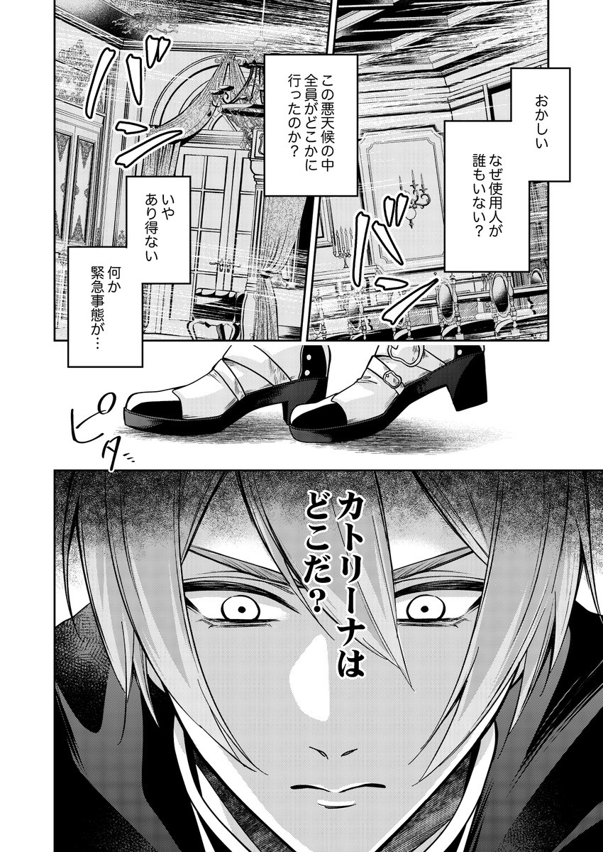身代わり令嬢を救ったのは冷酷無慈悲な氷の王子の愛でした 身代わり令嬢を救ったのは冷酷無慈悲な氷の王子の愛でした