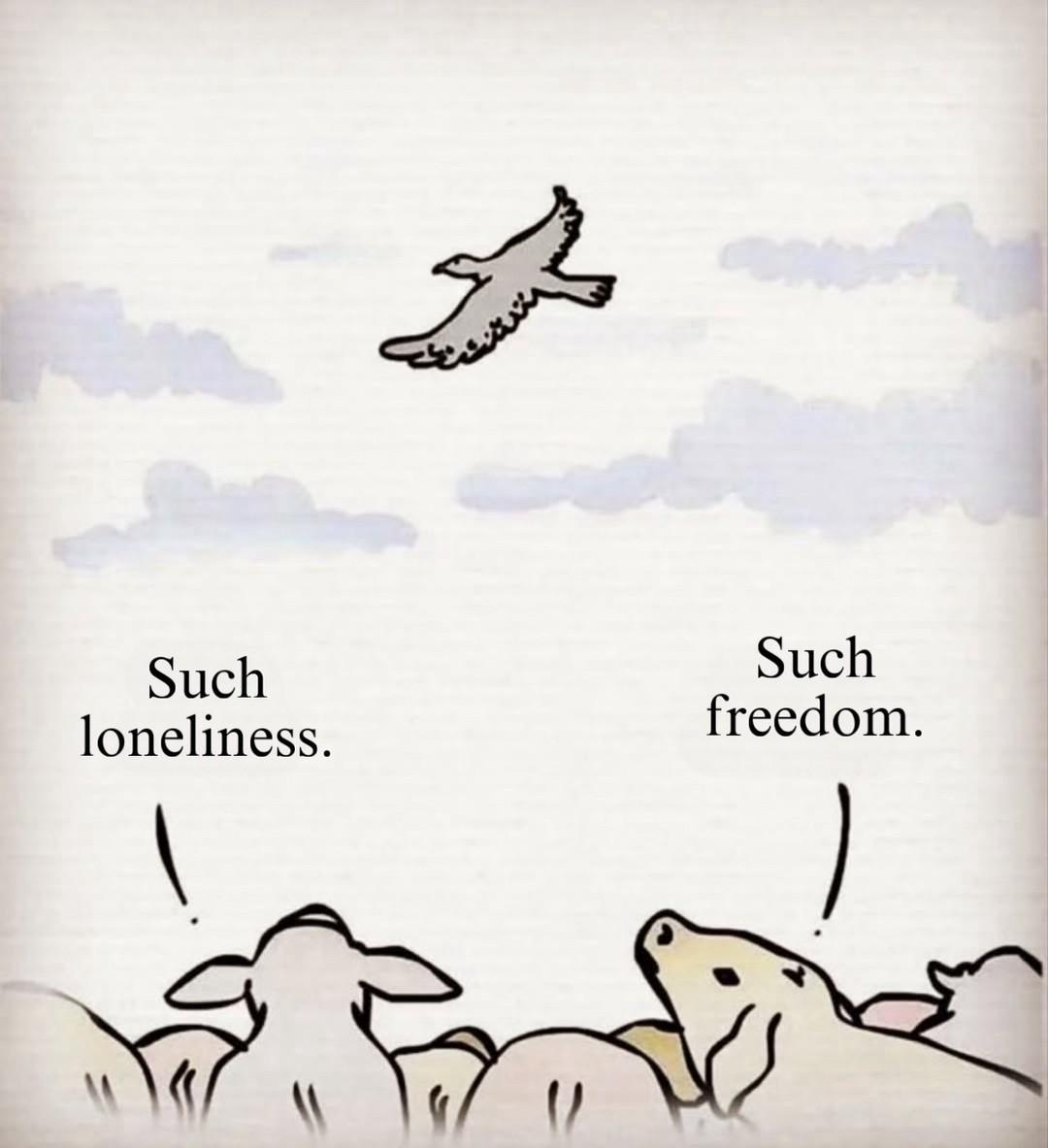 Perspective shapes our experience.
Perspectives drive actions. Actions make up habit. Habits decide personality. Personality forms perspectives.