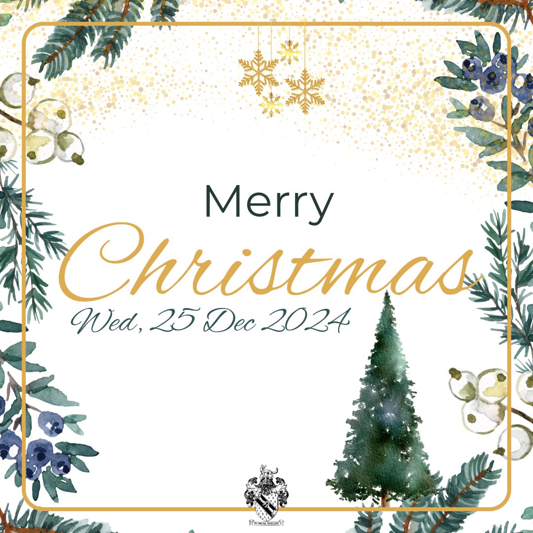 Merry Christmas to Everyone! It's a time to reflect on the year and cherish those closest to us. May your holiday season be filled with love and joy.🎄🎅

#borlase #Christmas #Festivefun