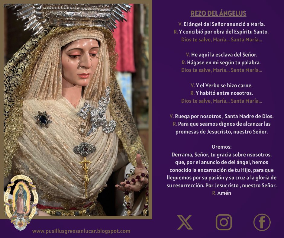 Bajo tu amparo nos acogemos, Santa Madre de Dios. No desoigas nuestras súplicas que te dirigimos en nuestras necesidades, antes bien, líbranos de todos los peligros, Virgen gloriosa y bendita.
#pusillusgrex #guadalupe #jara #soberanopoder