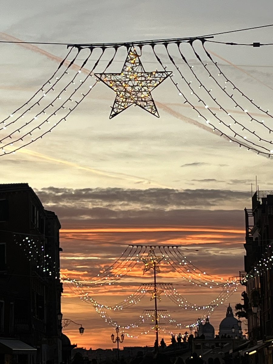 Patricia Brown tweet media