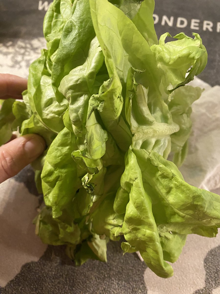 D van der Veen tweet media