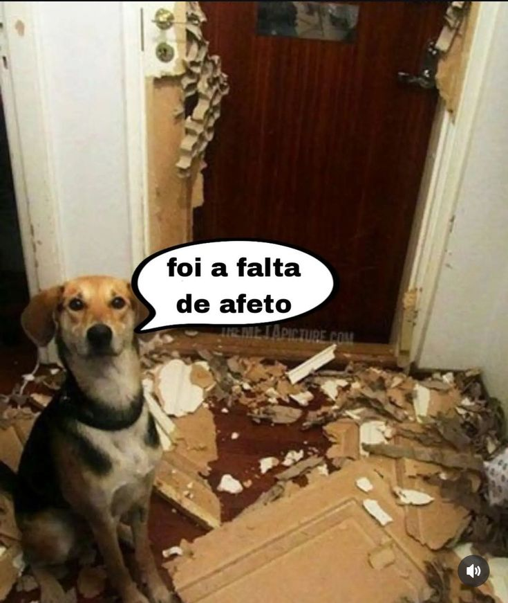 Miguel (@ykkmiguel2) on Twitter photo 