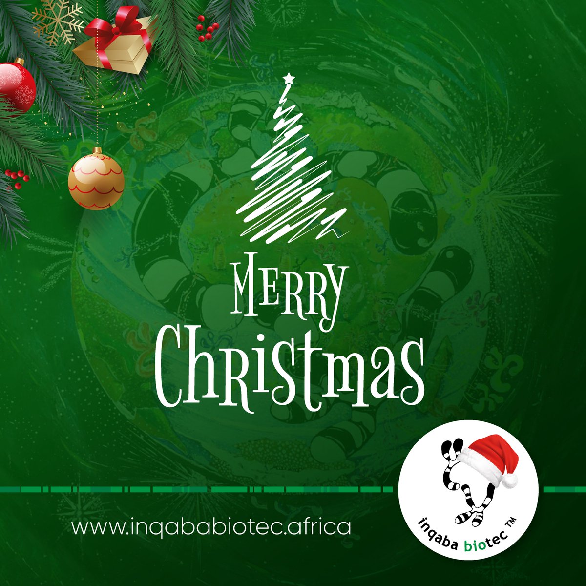 Inqaba Biotec wishes you a Merry Christmas! May this festive season bring joy, warmth, and prosperity to you and your loved ones.

#MerryChristmas