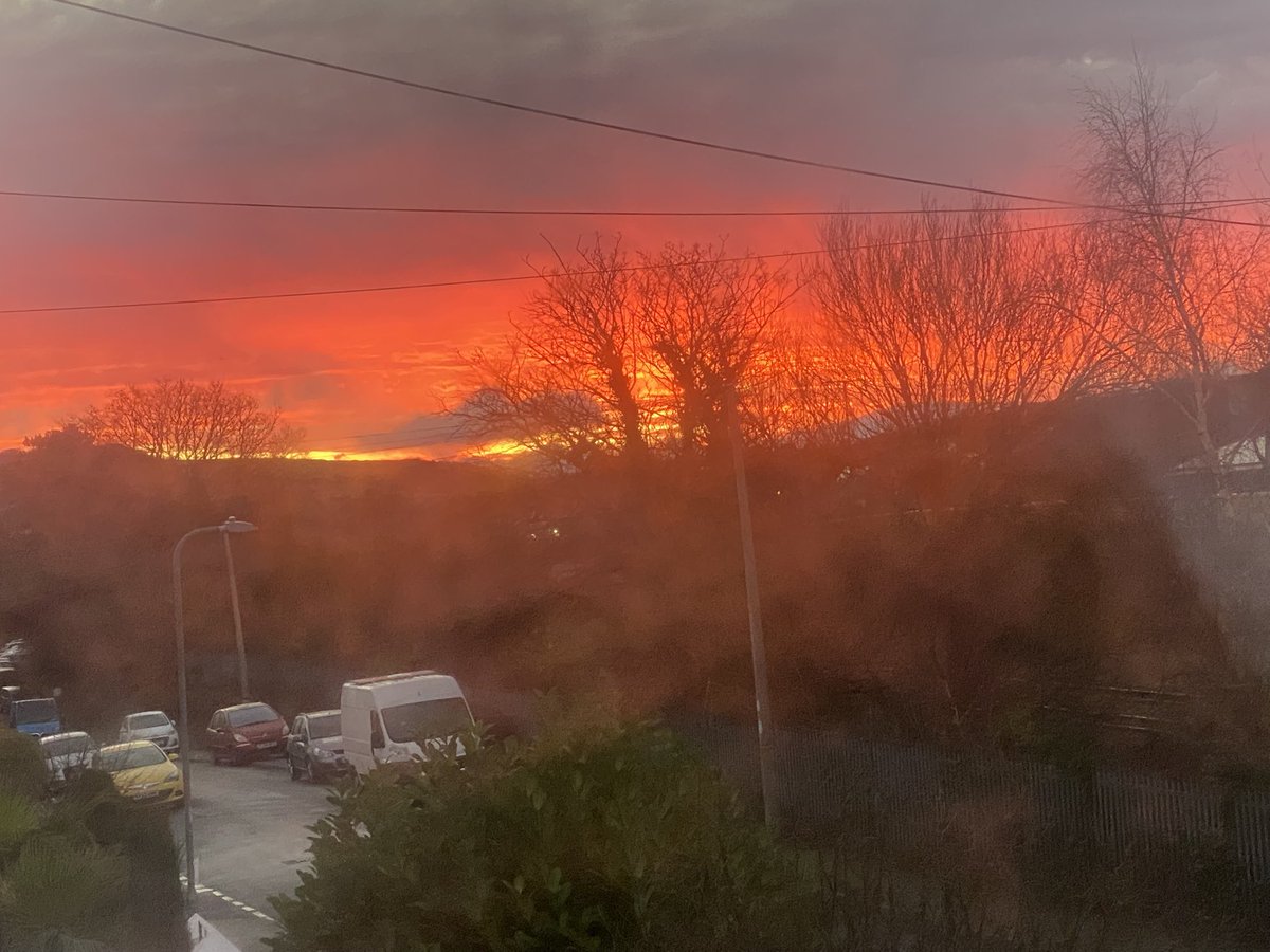 Rules of Gruesome tweet media