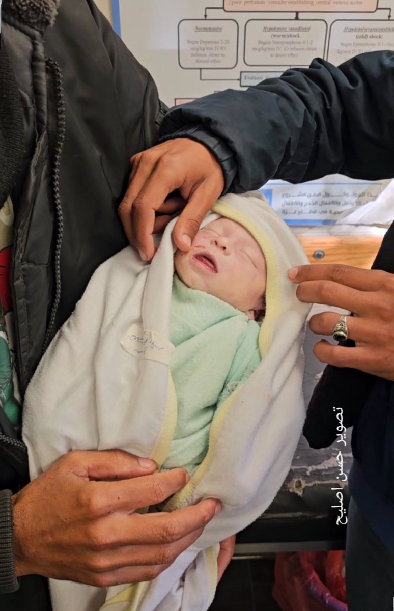 InsiderWorld_1's tweet photo. Sila, died due to severe cold in KhanYounis https://t.co/1uezo24JBo